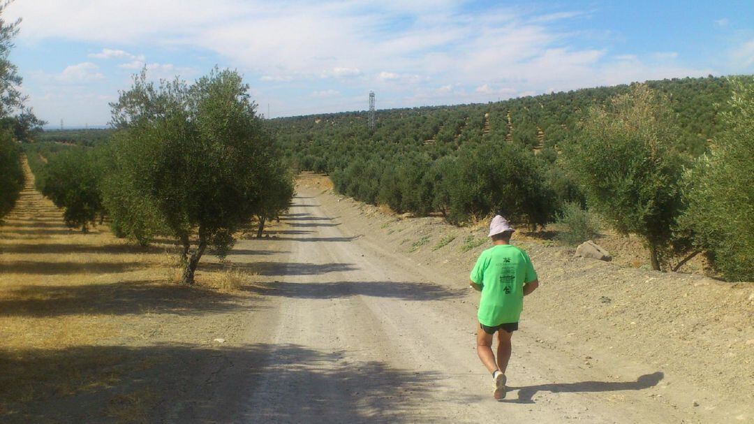 Un turista camina por un camino rural de Linares