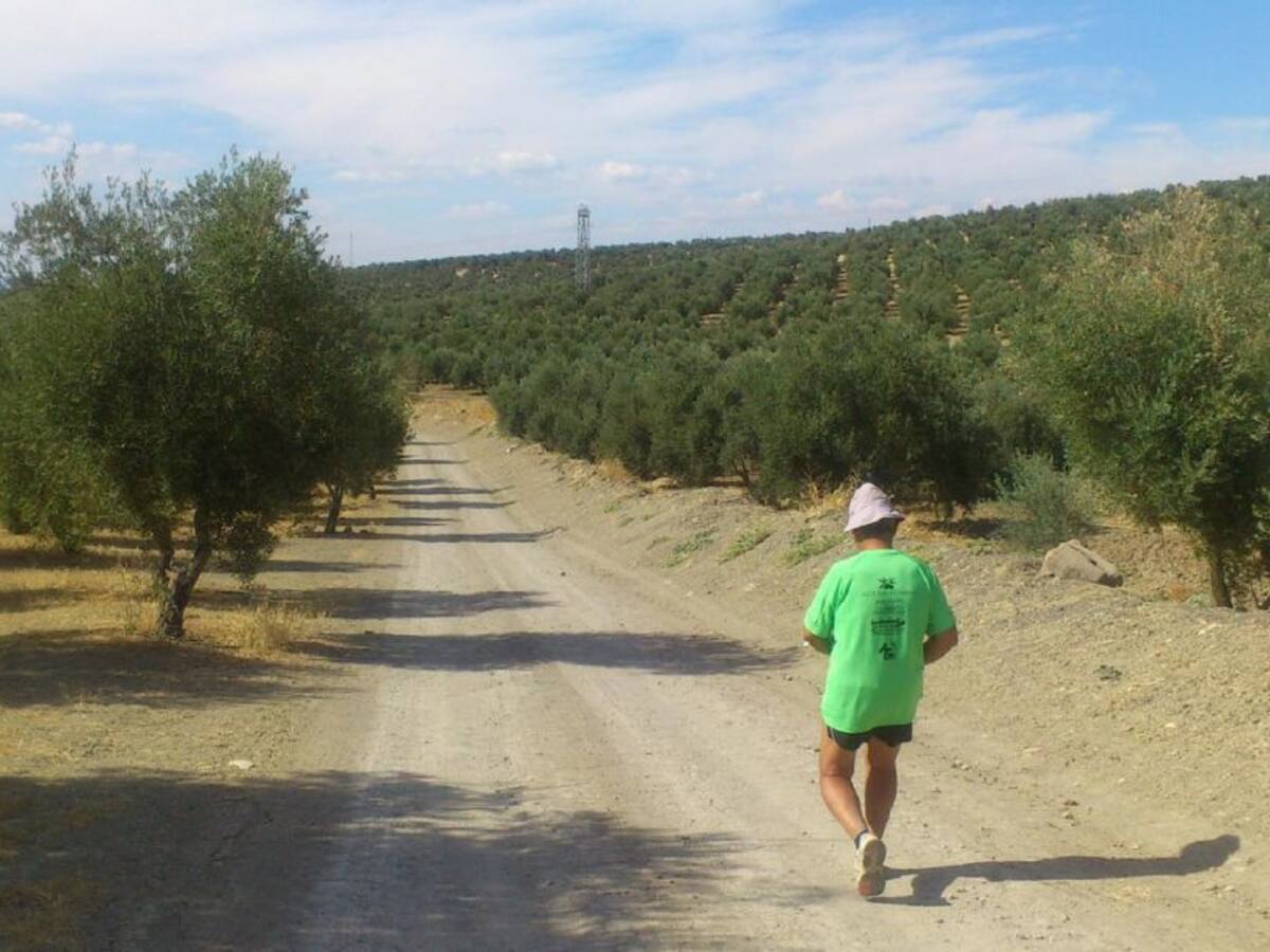 El Ayuntamiento acomete "arreglos parciales" en caminos rurales