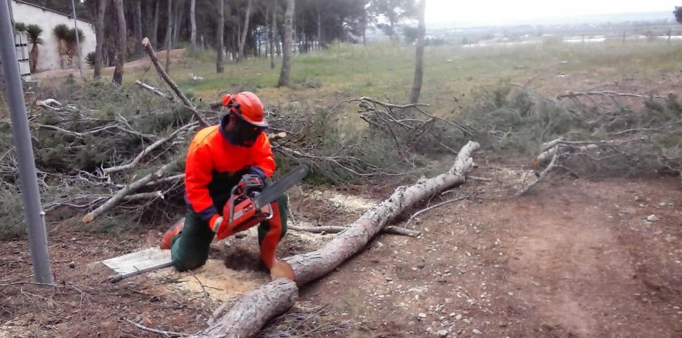Taller de FP dedicado al medio ambiente en Huesca