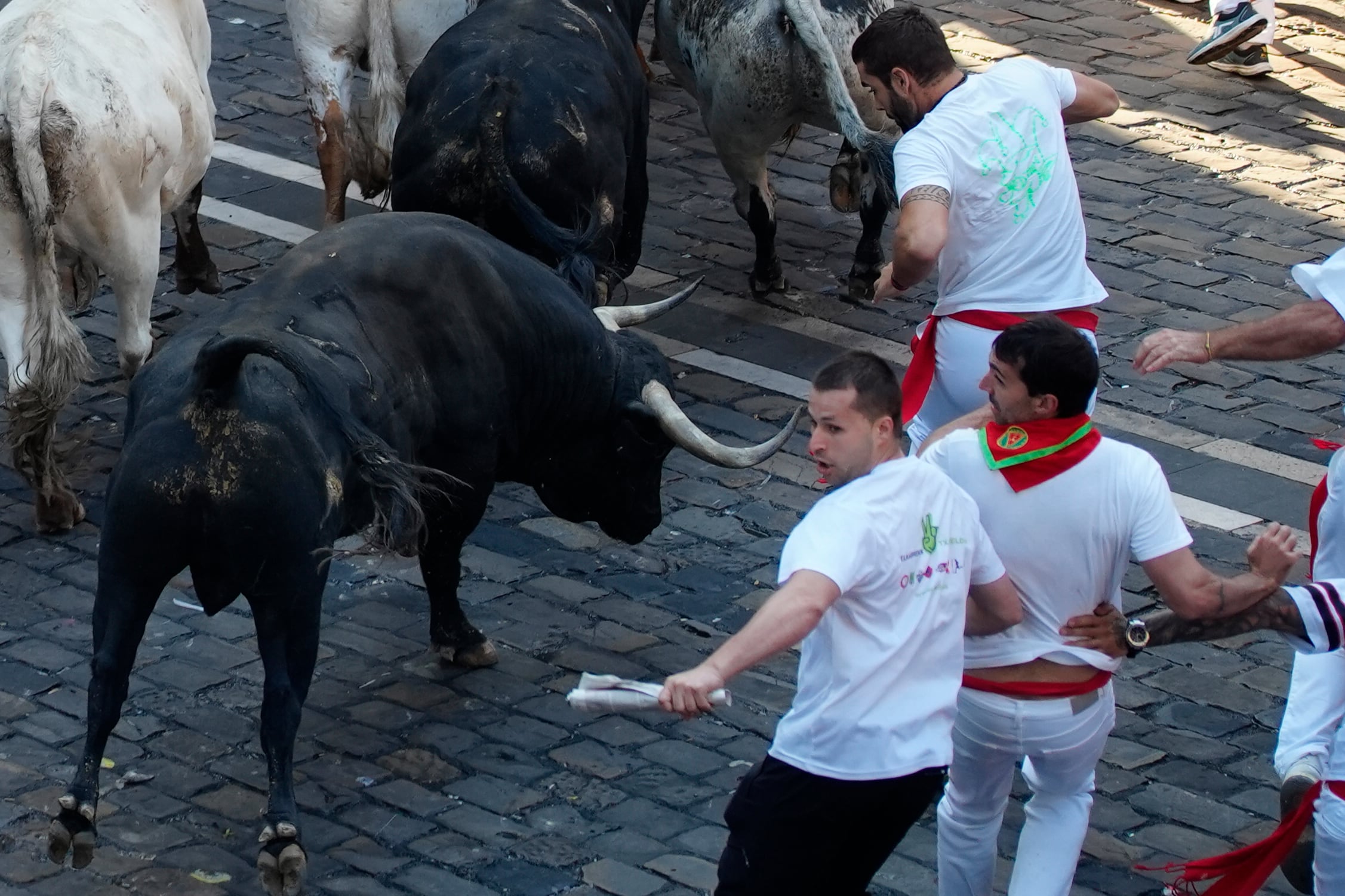 Varios mozos son perseguidos durante el segundo encierro de los Sanfermines 2024 protagonizados por la ganadería de los Herederos de D. José Cebada Gago, Sidon(Cádiz)