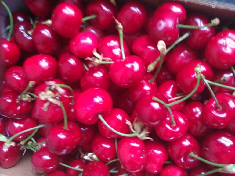 Algunas de las cerezas del Valle