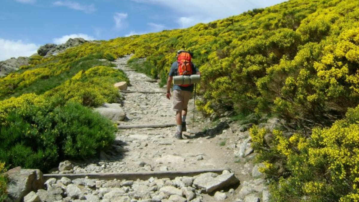 Regresa el Festival del Piorno en Flor