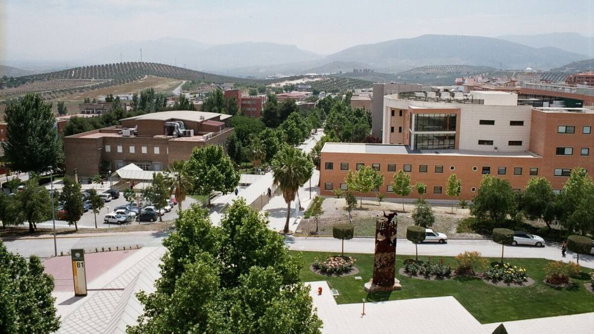 207 estudiantes de 13 municipios de la provincia participan en un congreso online de la UJA