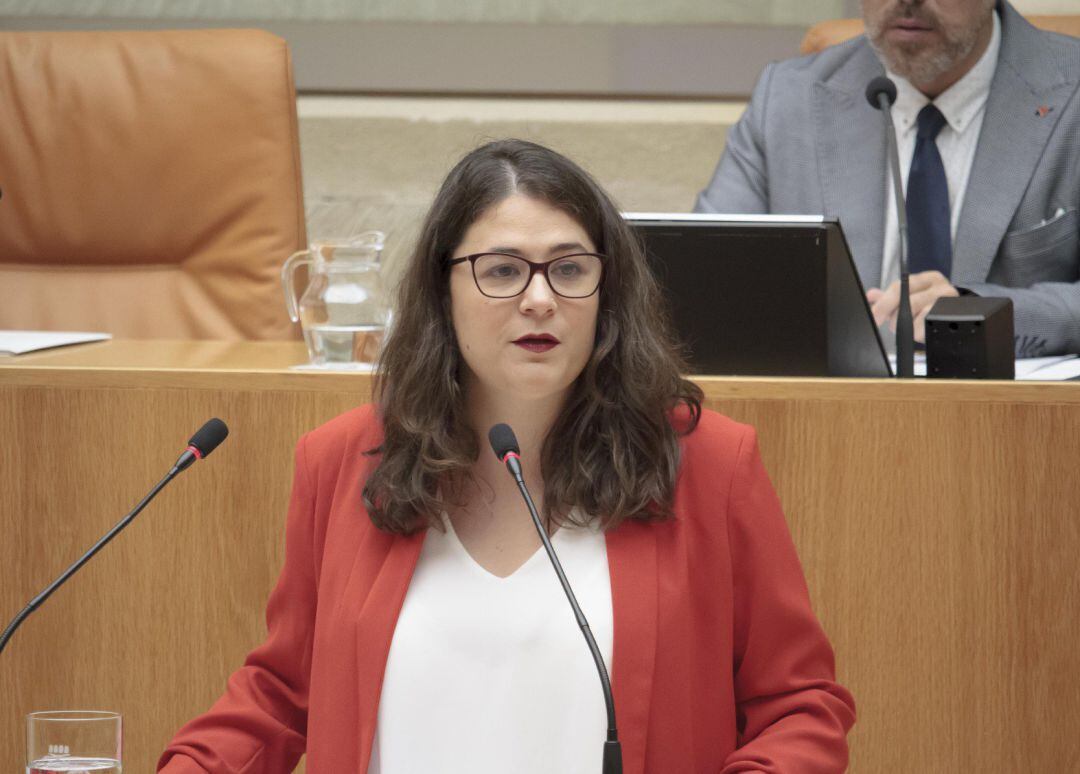 La diputada de Podemos-Equo, Raquel Romero Alonso, durante su intervención en la segunda sesión del debate de investidura de la candidata socialista, Concha Andreu, a la Presidencia de La Rioja.