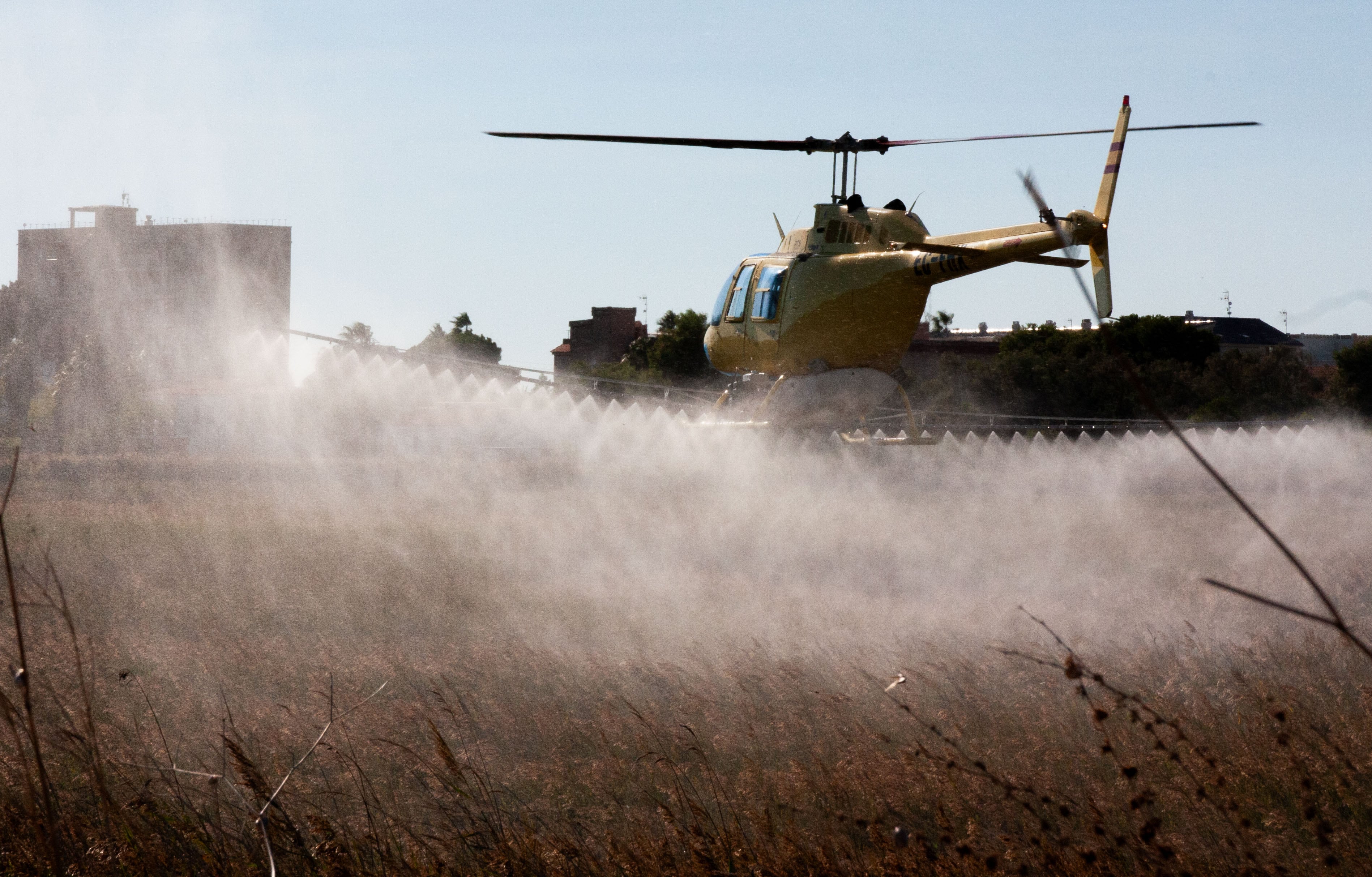 La Diputación realiza vuelos de tratamientos contra los mosquitos con el fin de garantizar el control de plagas en las zonas más húmedas de Castellón