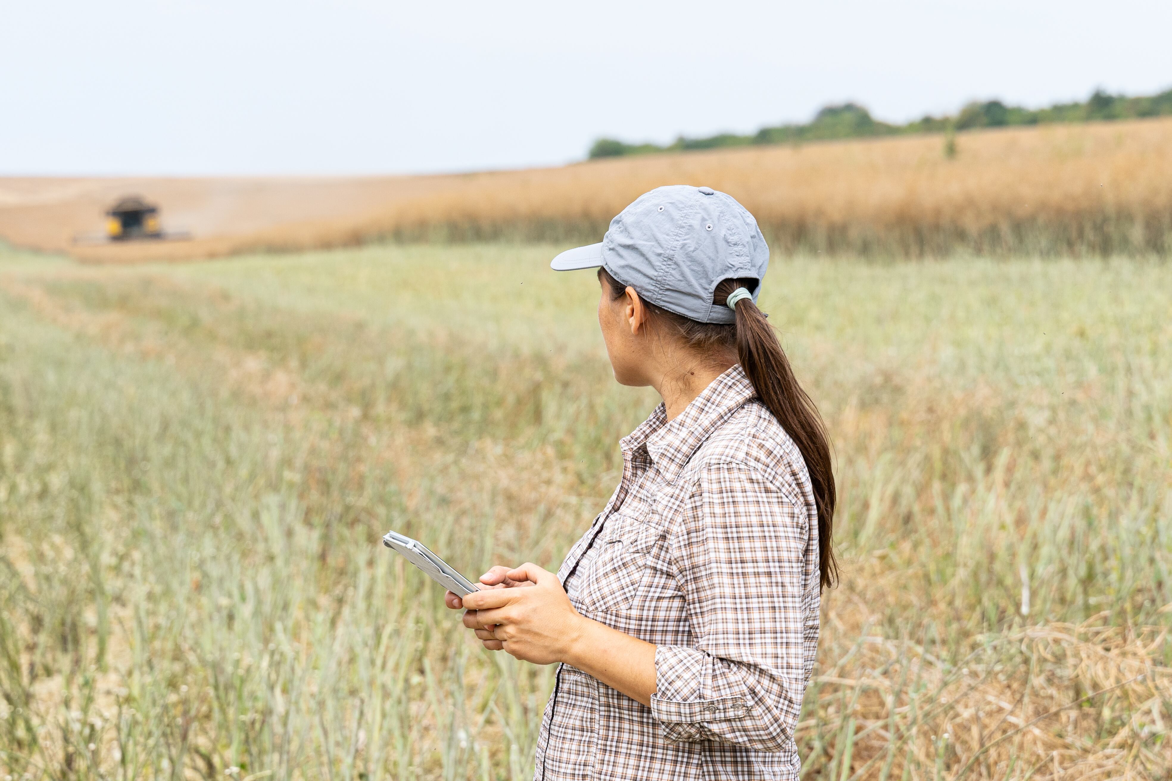 Imagen de archivo de una mujer en el campo