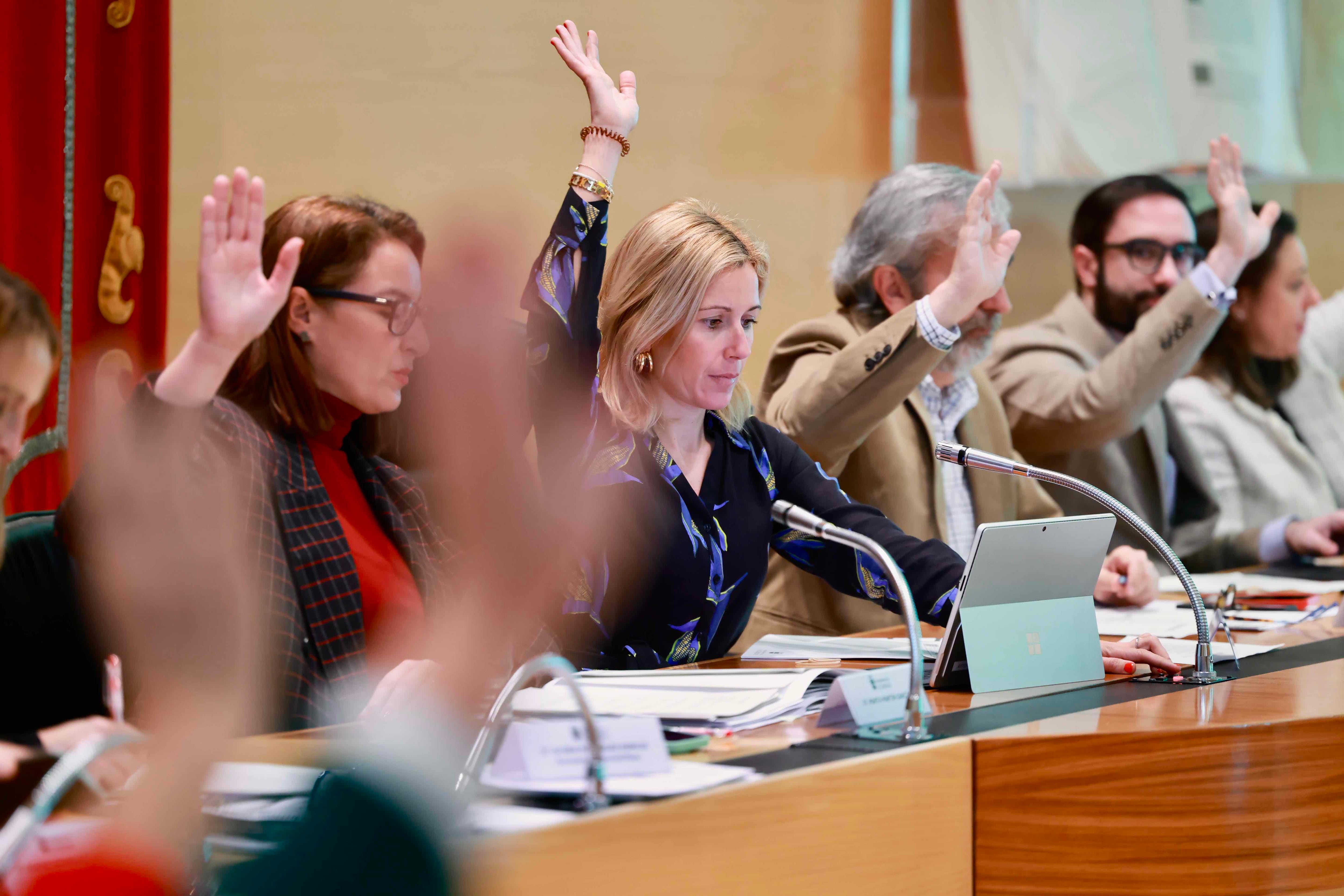 El Gobierno del Partido Popular de Alcobendas votando en el Pleno Municipal