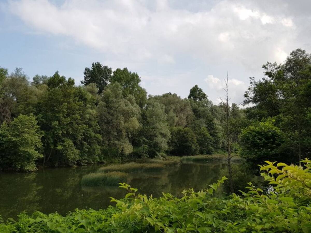 Situación medioambiental de Torrelavega