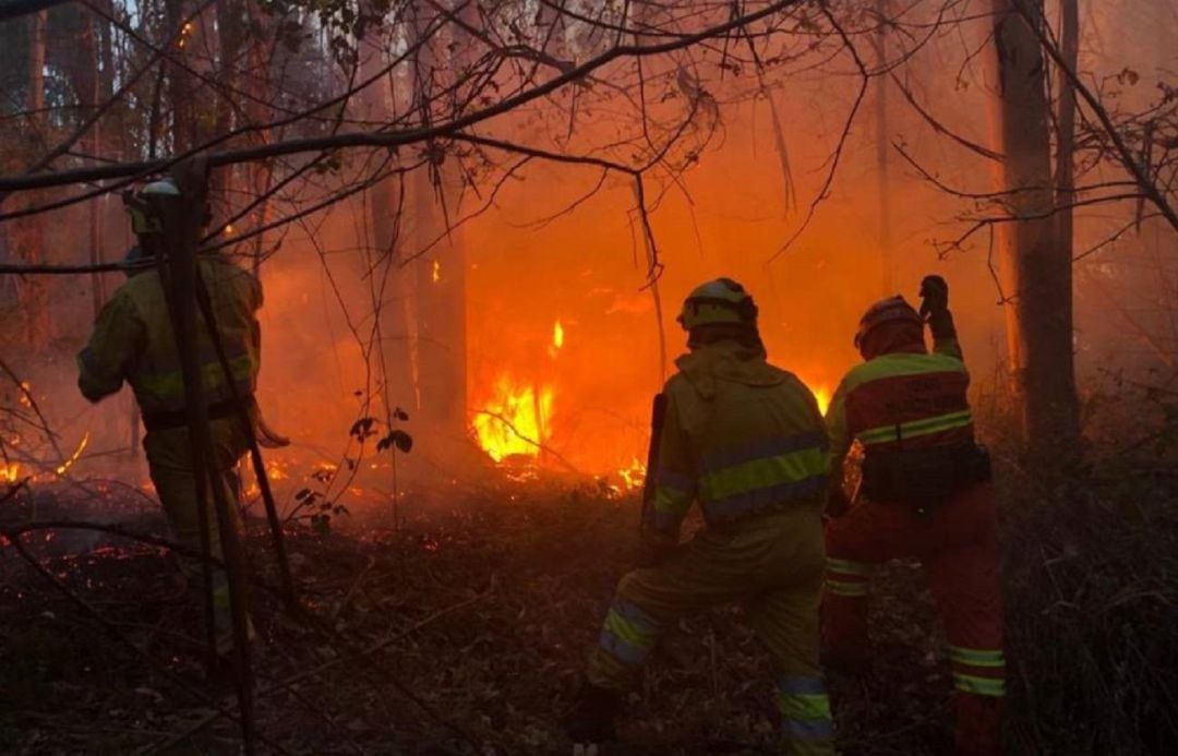 Incendio forestal en Cantabria.