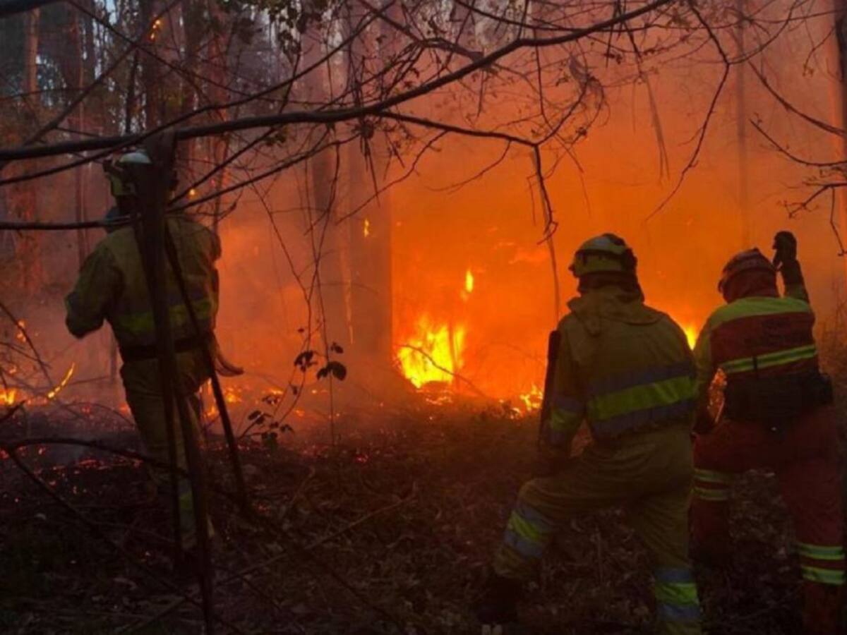 Cantabria registra 512 incendios forestales que afectan a unas 6.000 hectáreas en lo que va de año