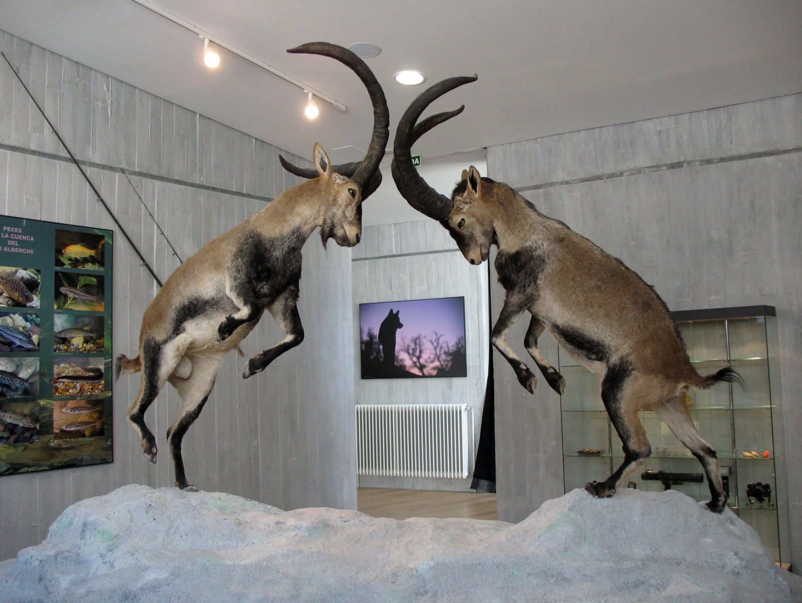 Museo de la Naturaleza Valle del Alberche