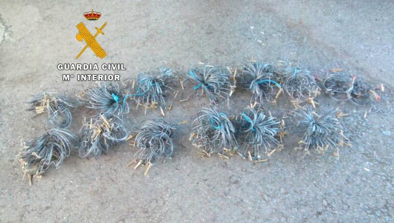 La llamada "percha" para atrapar aves