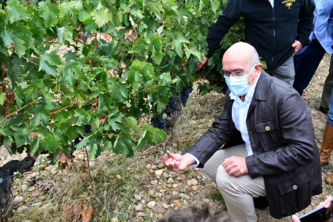 Consejero de Agricultura, Jesús Julio Carnero