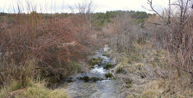 La ruta nos lleva hasta la surgencia de agua donde nace el Guadiela.