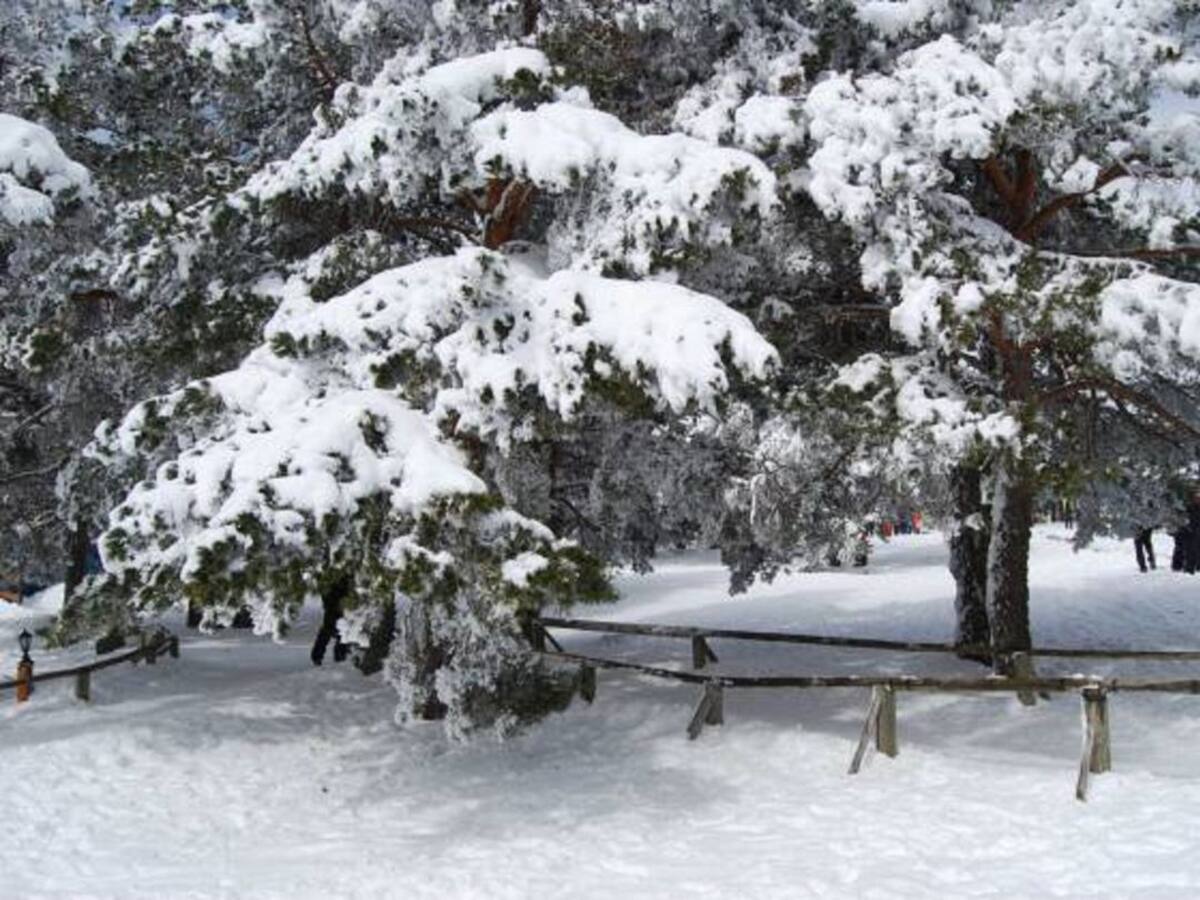 El Ayuntamiento coordina el Plan de Nieve con más de 70 trabajadores distribuidos