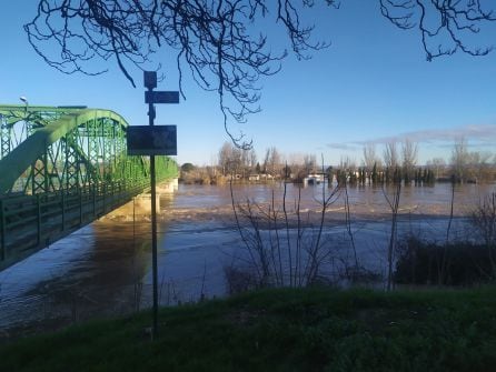 El nivel del río en Gallur