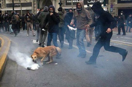 Imagen de Lukánikos durante un protesta.