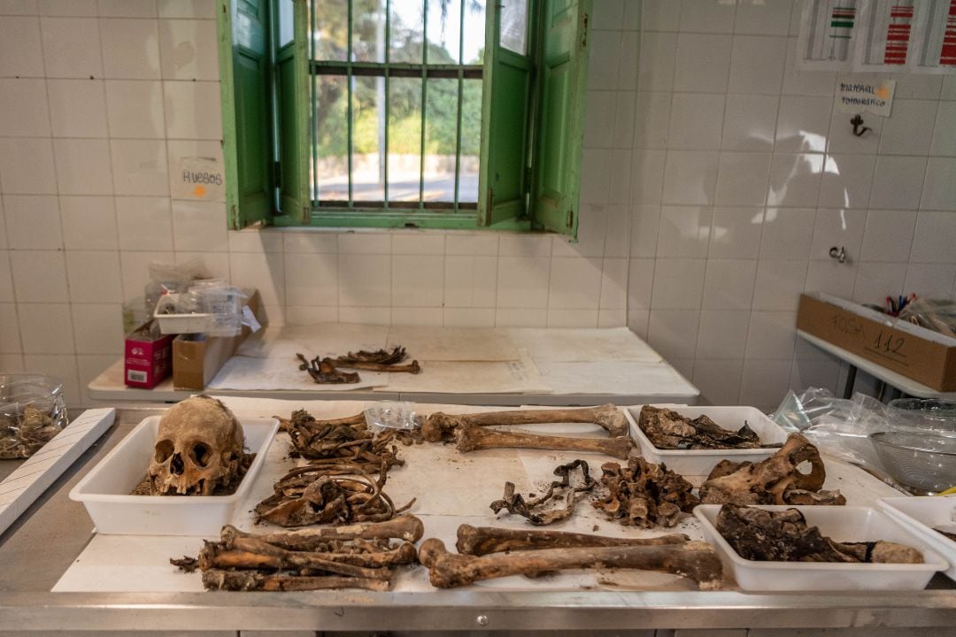 Restos de víctimas del franquismo recuperadas de la fosa 128 del cementerio de Paterna (Valencia).