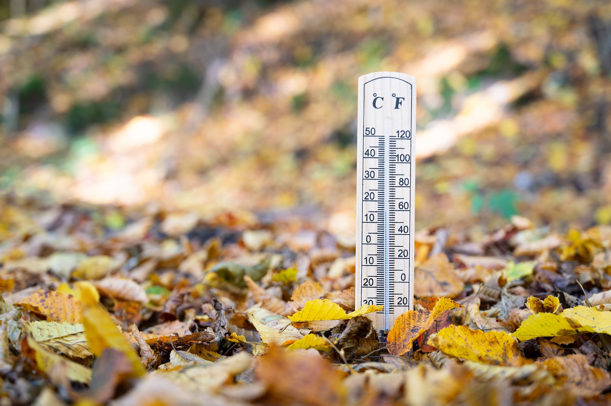 LLega el frío a León