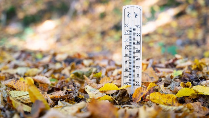 El otoño ha sido el tercero más seco del siglo y uno de los más cálidos en Euskadi