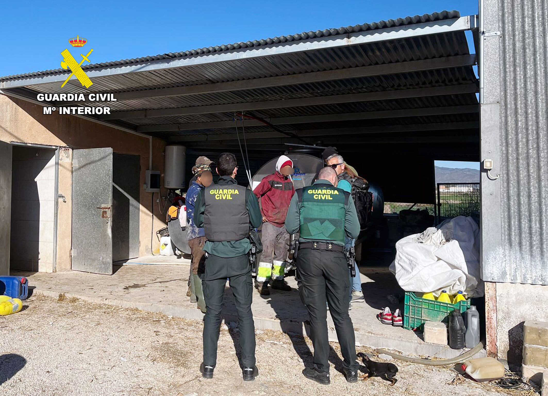 La Guardia Civil en la explotación ganadera donde explotaban a trabajadores extranjeros