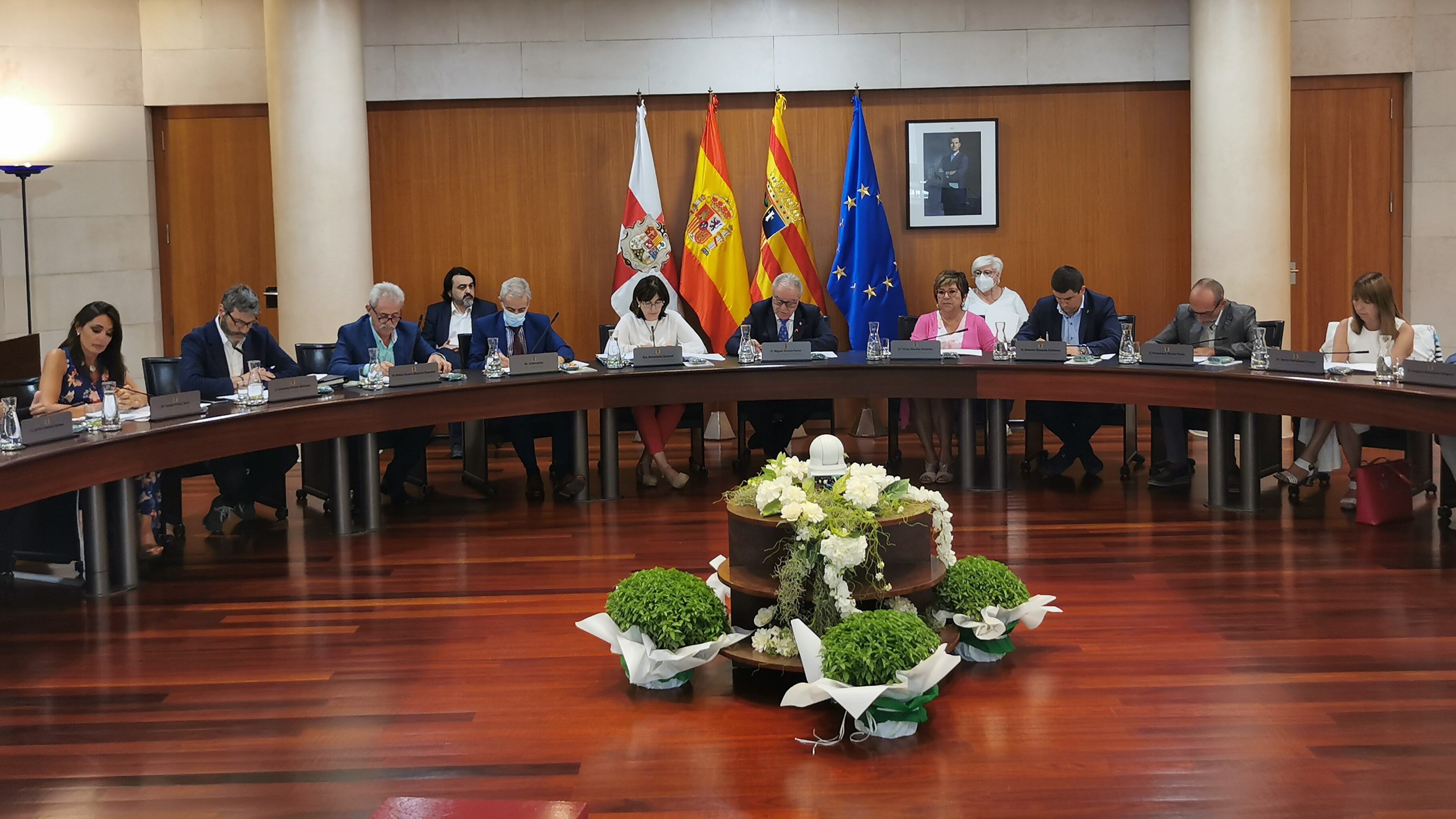 Pleno de la DPH del mes de agosto