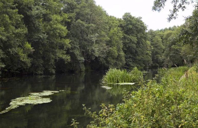 El río Cabe a su paso por el municipio de O Incio en Lugo