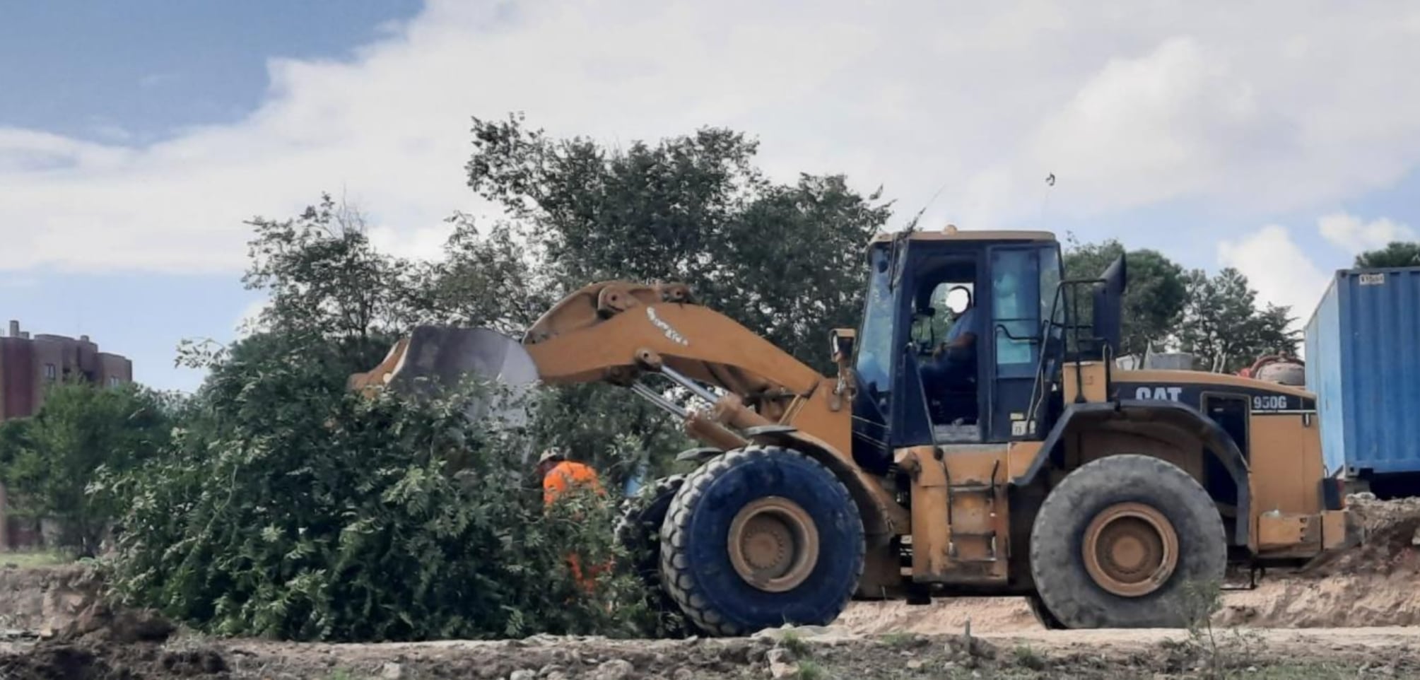 Una excavadora arranca varios árboles durante las obras del nuevo cantón de limpieza en el Parque Forestal de Vicalvaro