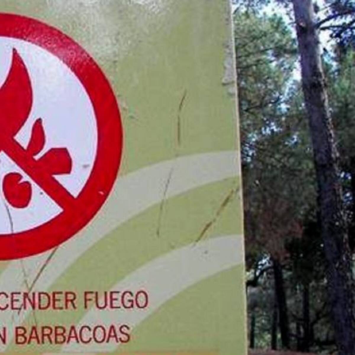 Comienza la temporada de riesgo alto de incendios