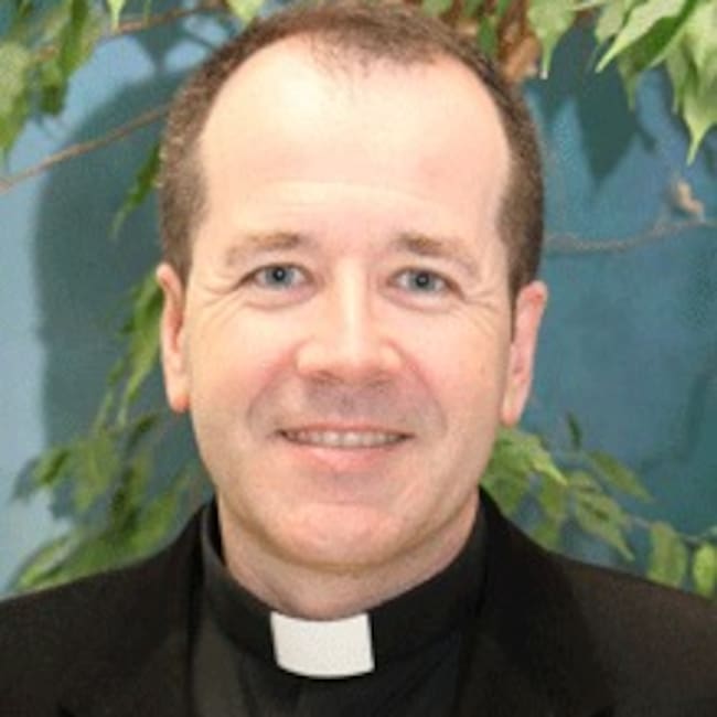 D. José Francisco Castelló Colomer,