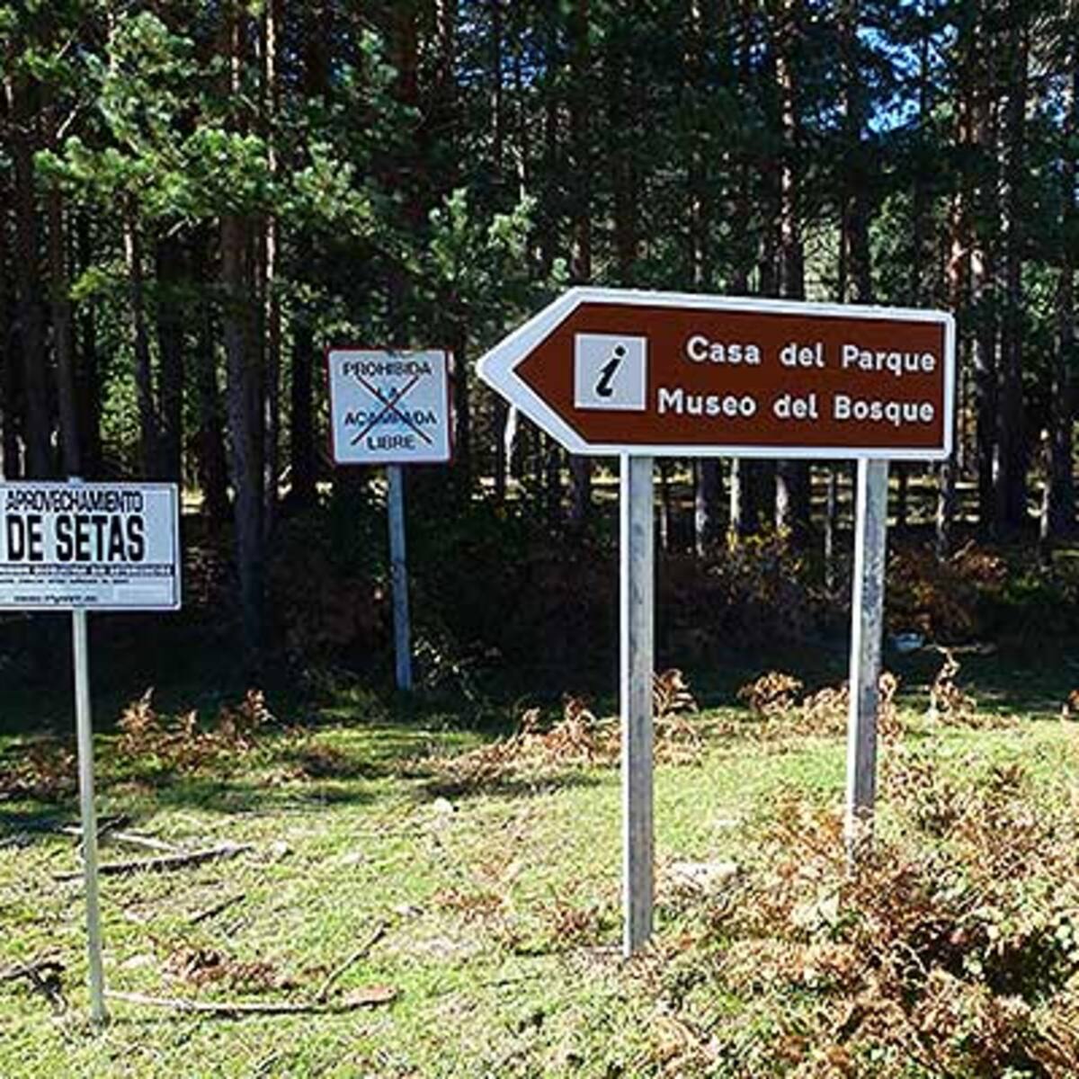 La Junta renovará la señalización de siete espacios naturales de la provincia de Soria