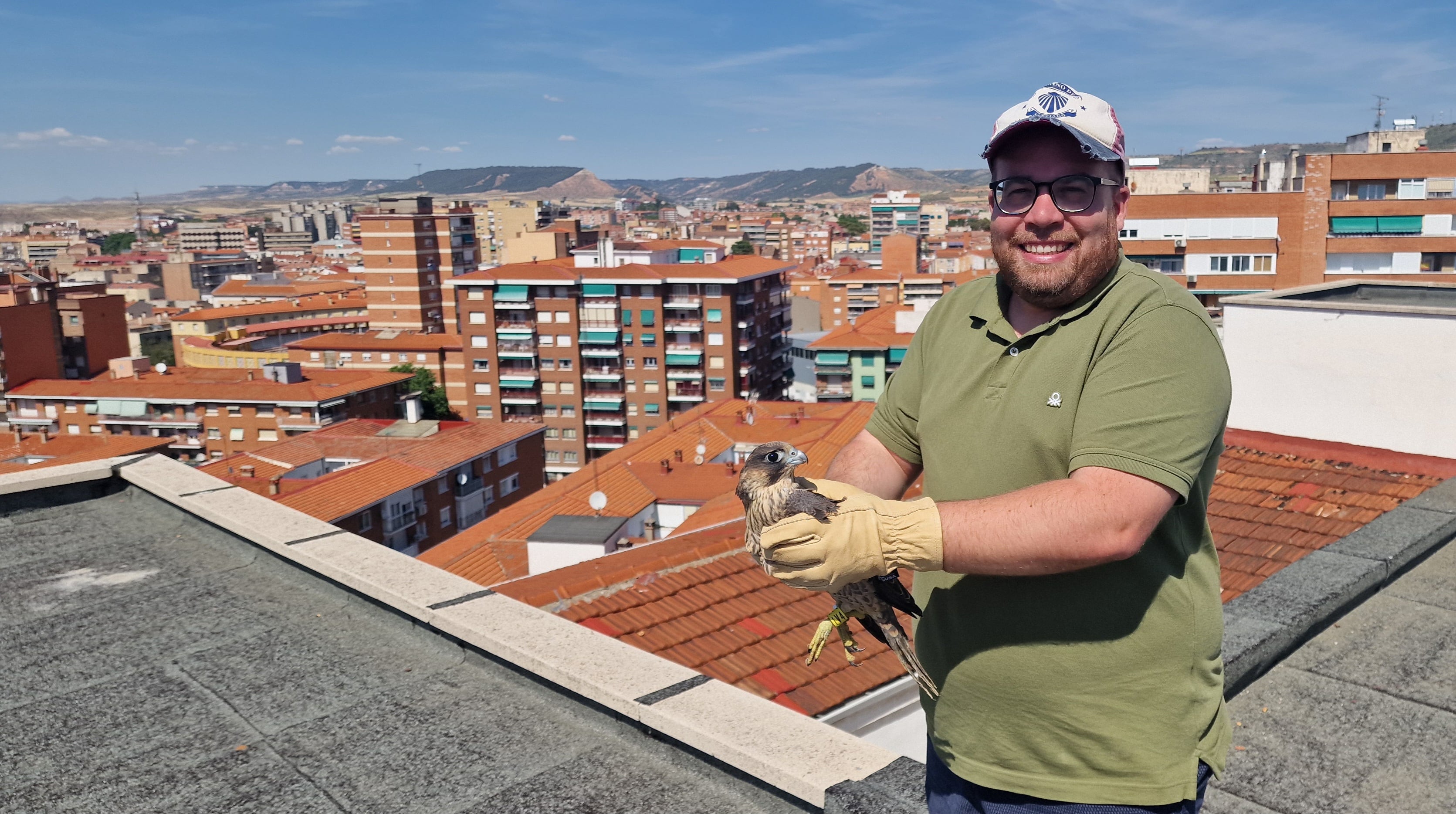 Rubén García soltando uno de los pollos de halcón peregrino