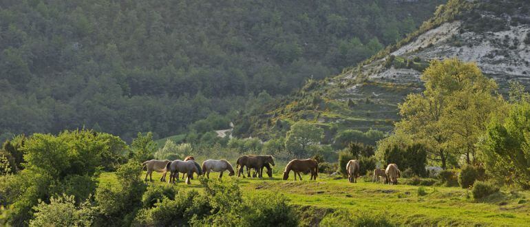 Imagen del Parque Natural de Izki