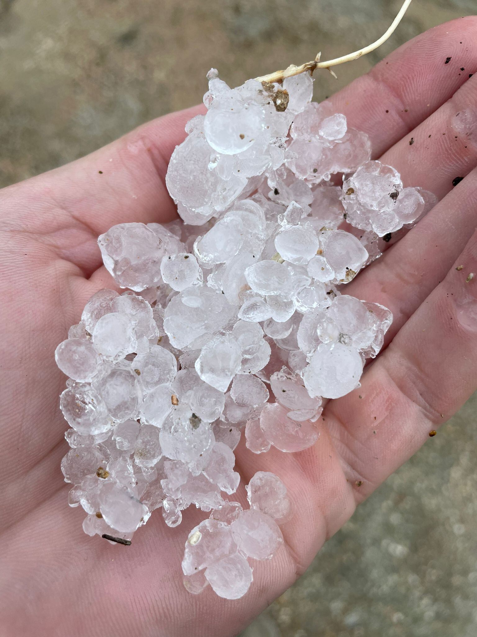 Granizo en la Zarzadilla de Totana