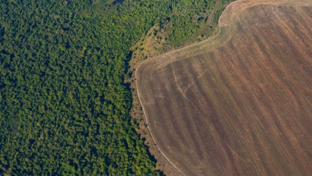 deforestación del Amazonas