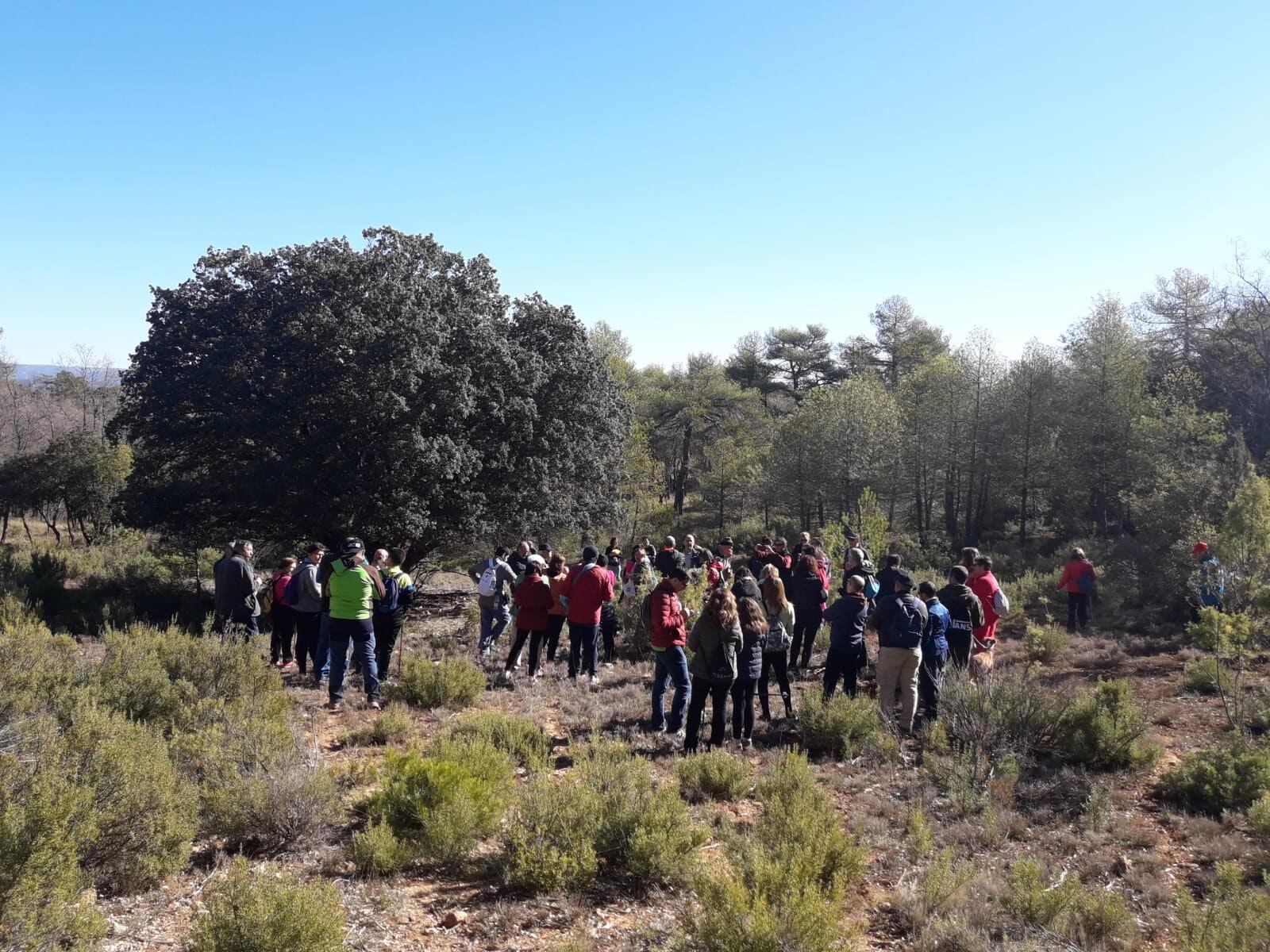 El primer tramo de la ruta discurre entre encinas que aún resisten como testigos del antiguo bosque mediterráneo.