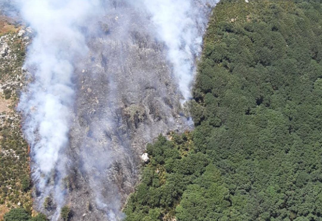 Incendio en La Ahumada (Tarifa)