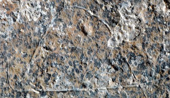 La plaqueta on es pot apreciar el gravat del campament.