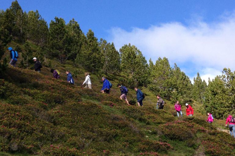 Una excursió guiada al parc natural del Comapedrosa.