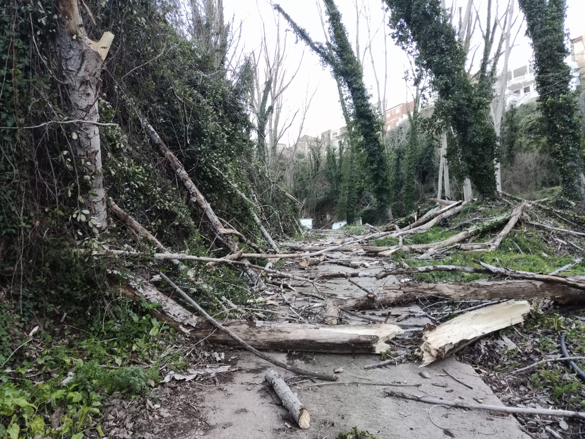 Problemas del temporal en Anna. Fuente: Ayuntamiento de Anna