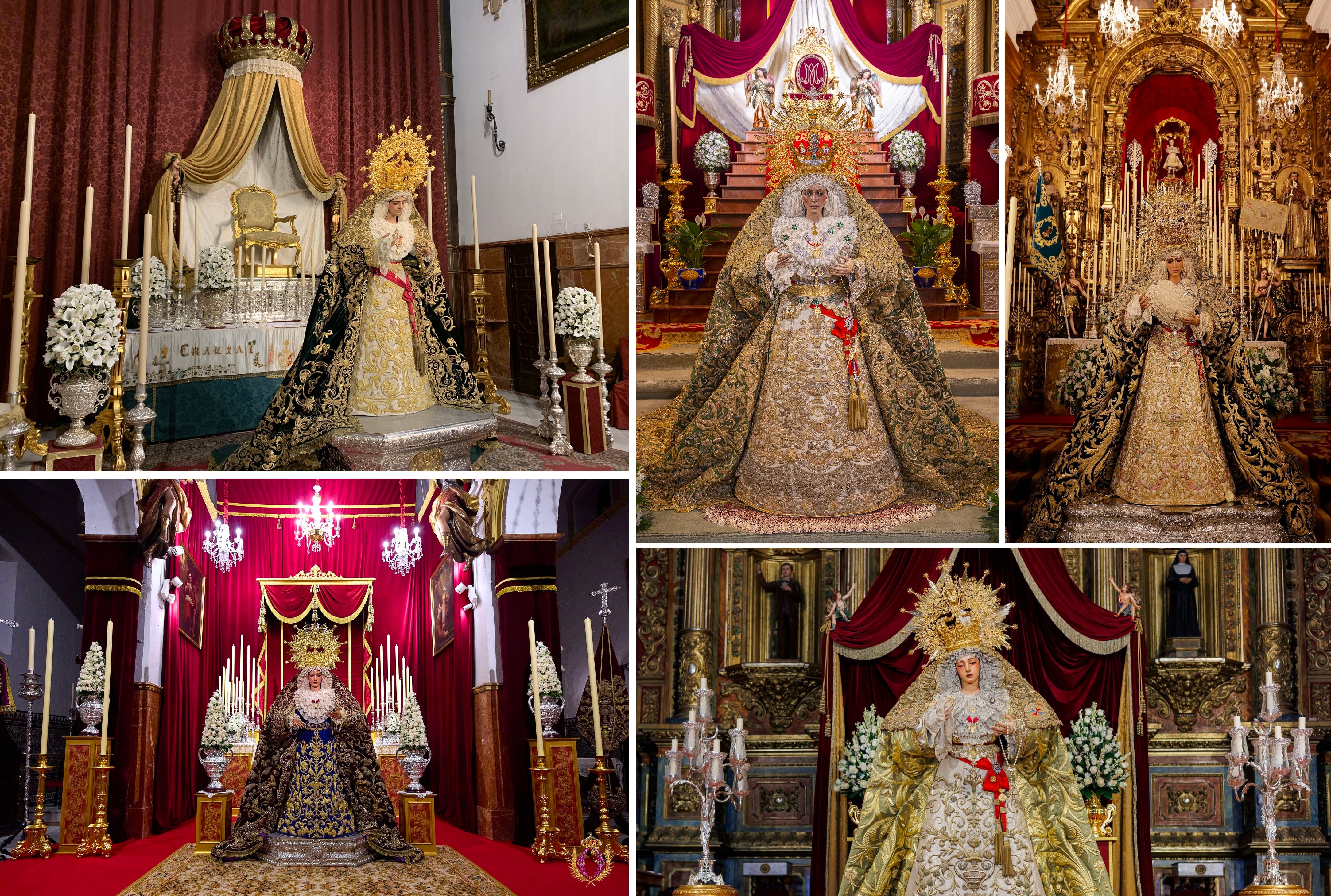 Collage con las Esperanzas de Sevilla en besamanos