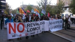 Varios manifestantes protestan contra las reválidas, la Lomce y los recortes.