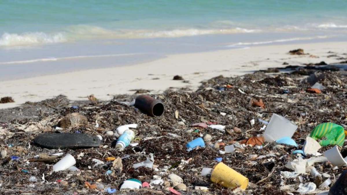 Piden medidas para evitar la contaminación por plásticos en Marina de Cope