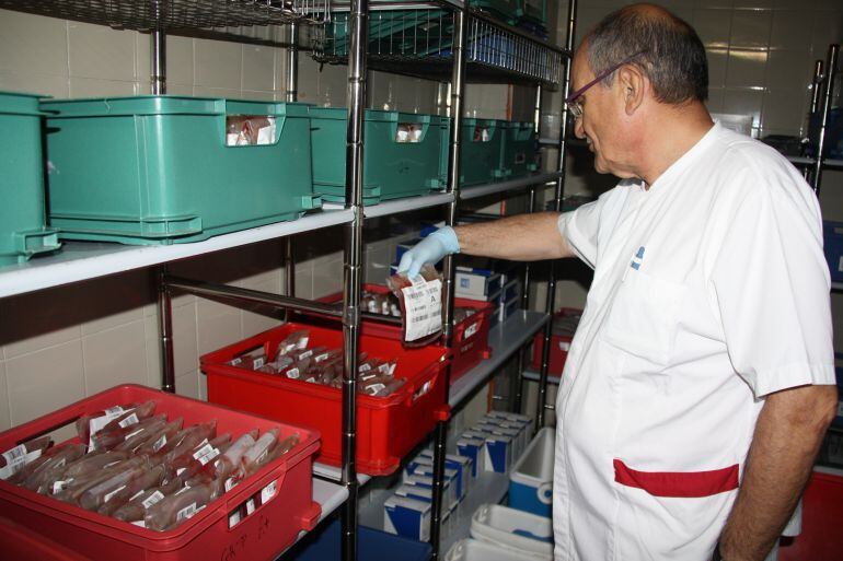 Joan Profitós, director del banc de sang del Trueta