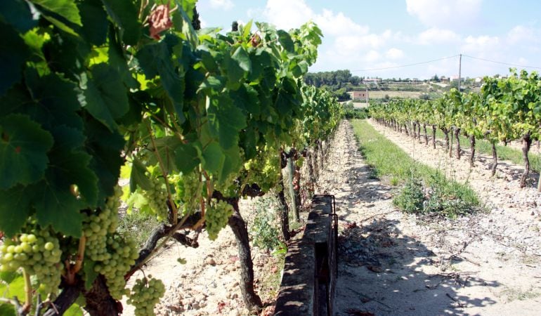El sol deixarà de brillar durant els propers dies, deixant pas als núvols i a la pluja.