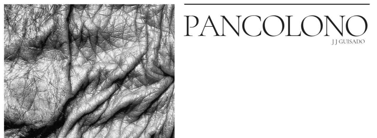 JJ Guisado rinde homenaje a los colonos de las Vegas Altas con su exposición "Pancolono"