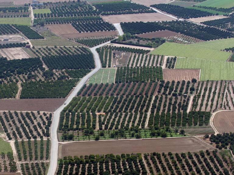 Campos, huertas, minifundios, huertos, agricultura, árboles, explotación agraria / Archivo (EUROPA PRESS