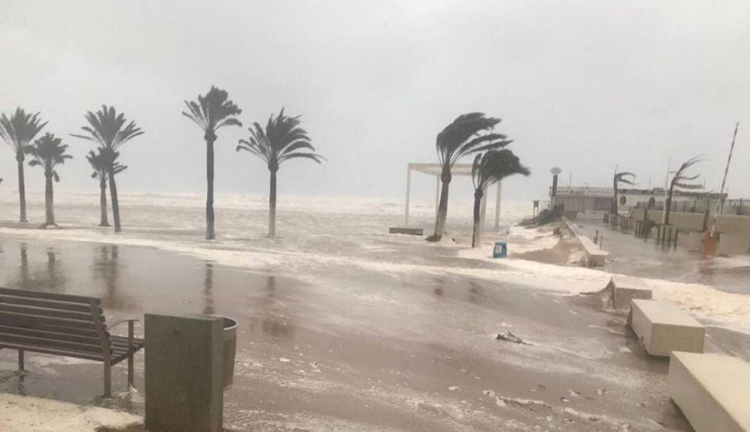 Efectos de la borrasca Gloria en la playa de Gandia 