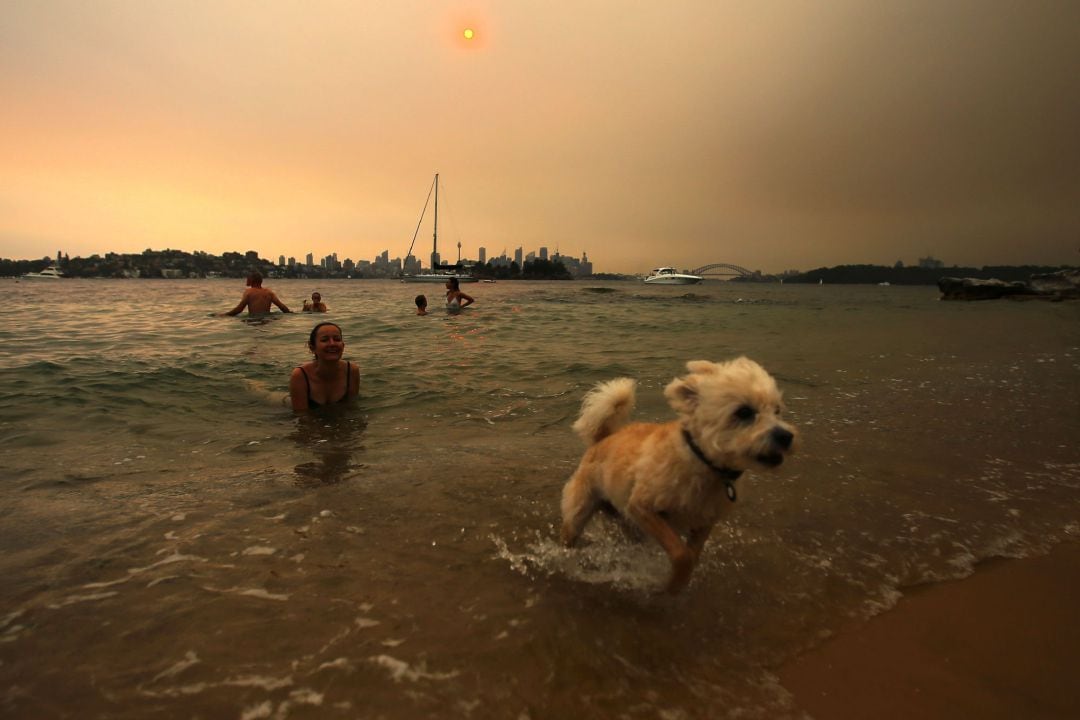 Un perro juega con su dueña en una playa en una imagen de archivo. 