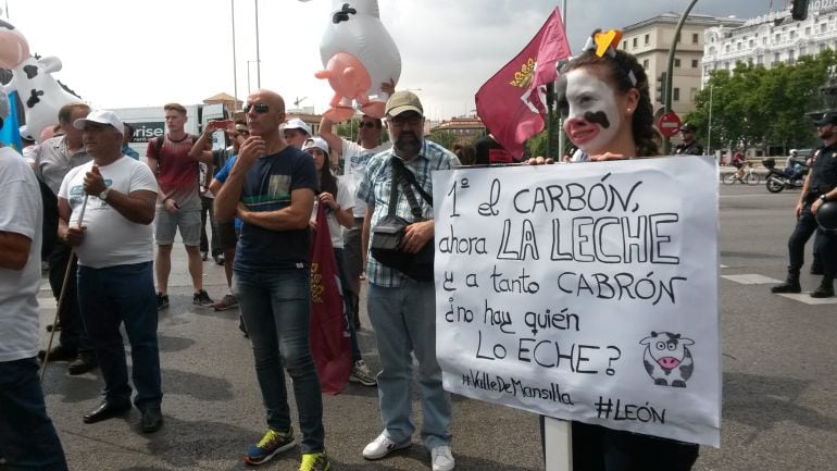 Manifestación del sector lácteo en Madrid